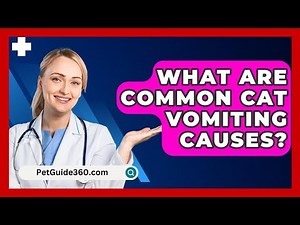 What Are Common Cat Vomiting Causes? - PetGuide360.com