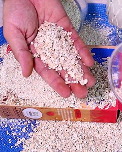 11 reactions | These benefits will have you eating oatmeal every day | Recipes And Daily | Facebook