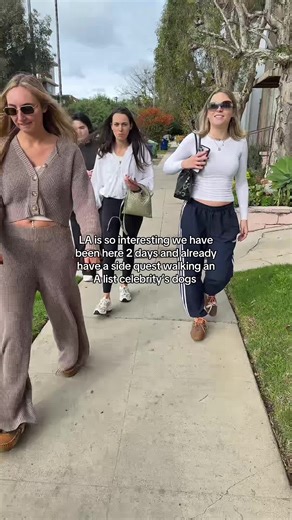 And that’s all she wrote #La #bevhills | dogs