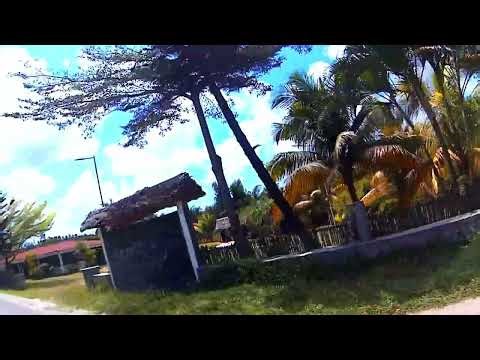 Day 210: Identity As Expression