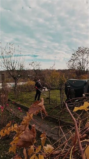 Der Herbst kommt....#timelapse #garten #360grad