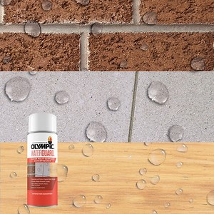 WaterGuard 11 oz. Clear Multisurface Exterior Waterproofing Sealer Spray