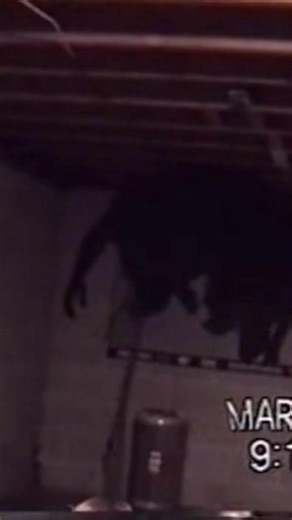 Don’t play with the board… #aihorror #horror #analoghorror #deadchannelmedia