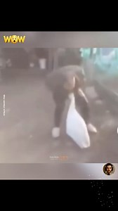 52K views · 1.2K reactions | Top Shocking Animal Attacks Caught on Camera! | WOW TV | Facebook