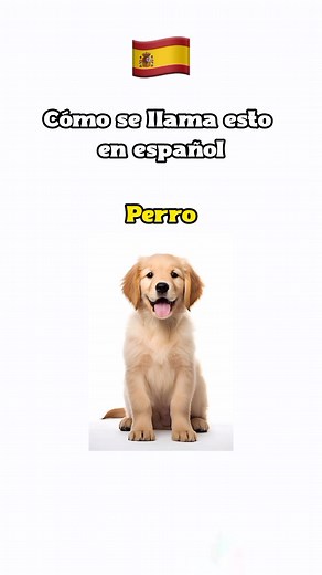 Mastering Spanish: Your Progress Check