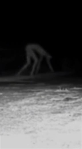 AVOID the Appalachian Mountains 😱 | MKP Studios