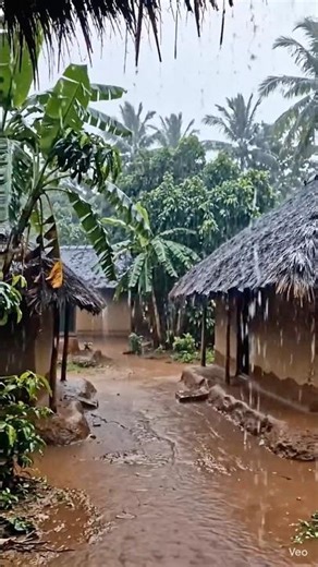 Heavy Rain in Indian VillageMonsoon Nature Scene #shorts #trending