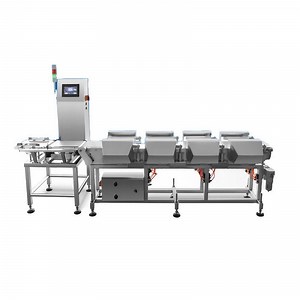 [Hot Item] Vxl-Sg-300 Multi-Sorting Weight Sorter with Reject System