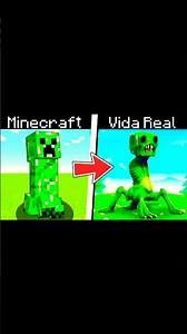 minecraft vs real life
