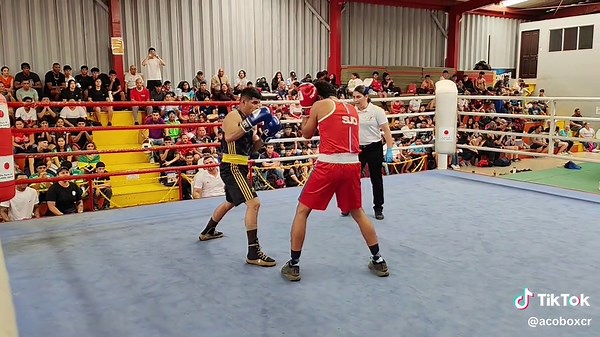 "Adrenalina pura." "Cada golpe cuenta." "El arte de la guerra en el ri...