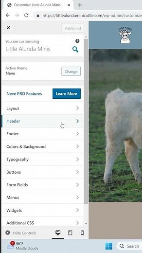 How to Add Site Favicon to WordPress Website! FASTEST & EASIEST Way!