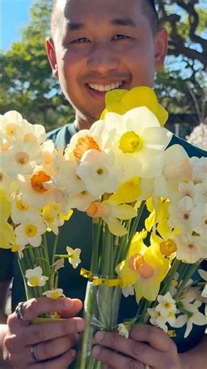 2026 Northern California Daffodil Show - Enchanting Blooms