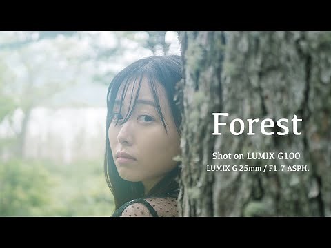 LUMIX G100＆単焦点レンズで撮影したイメージ動画「Forest」【パナソニック公式】