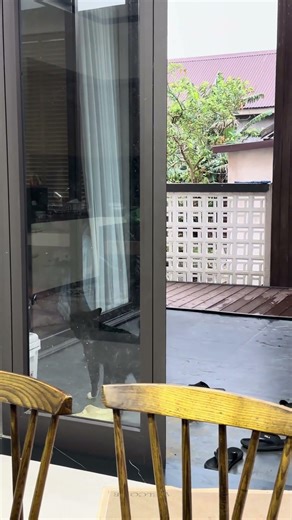 Thằng nào trong gương nhìn lạ vậy ta, sủa đã