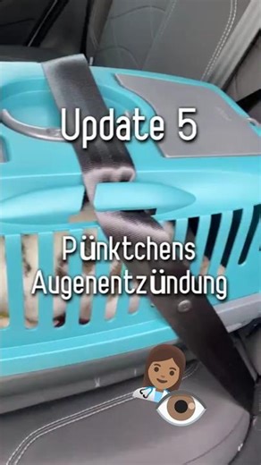 An end in sight? | Update 5: Conjunctivitis