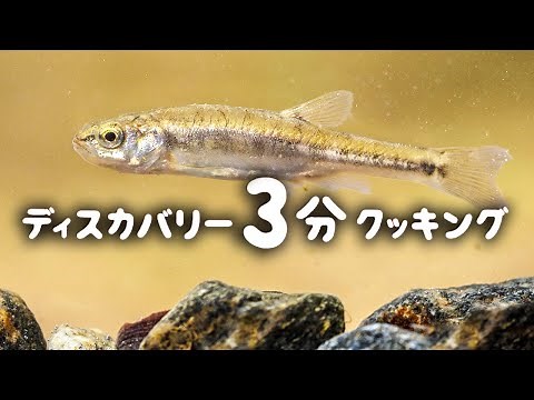 ディスカバリー3分クッキング | 大便で釣った魚のスープ | (ディスカバリーチャンネル)