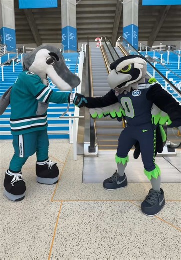 🤝 @San Jose Sharks @SJ SHARKIE | Blitz Mascot
