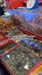 19K views · 434 reactions | Just as Japan has the Tsukiji FIsh...