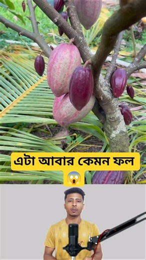এটা আবার কেমন ফল 😱
