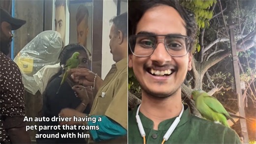 Bengaluru auto driver’s bond with his pet parrot delights the internet