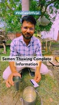Semen Thawing Complete information // Artificial insemination Complete Processing // method of AI