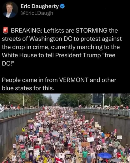 1.1M views · 10K reactions | I can’t believe how many liberals are pro-crime | UnWoke Americans | Facebook