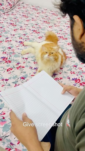 sajid on Instagram: "amazing billu last scene epic😂🤣😅😅 #cat #catcomedy #viralcat #catvideo #cats #sajidcat #catlover"