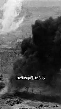 なぜ沖縄の住民まで戦場に巻き込まれたのか｜沖縄戦と失われた命【ずんだもん解説】