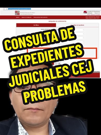 Consulta de Expedientes Judiciales en Línea en Perú