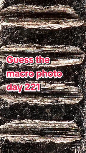 Guess the Macro Photo - Day 221 | Photography Challenge