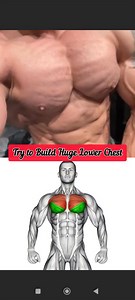 Lower Chest Destruction Workout 🔥 Build Thick & Defined Chest Description: This lower chest workout targets the bottom chest fibers for serious size, shape, and strength. No excuses—only discipline, control, and intensity. Do these exercises with proper form and feel the burn where it matters most. Drop your age and weight in the comments if you have questions. #lowerchestworkout #chestday #buildyourbody #fitnessmotivation #adilkhanbody 💪 | Adil Khan Body