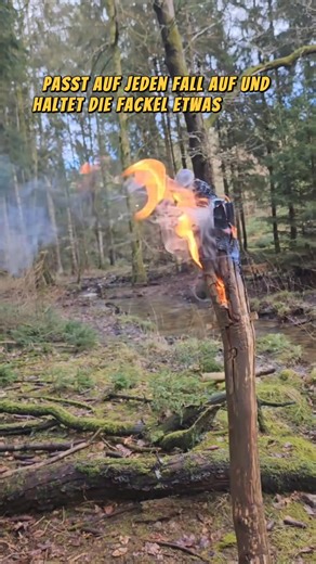 Eine Fackel nur aus natürlichen Materialien. Ganz leicht selber bauen! Zunder ganz einfach selberma #reels | Winter & Bushcraft