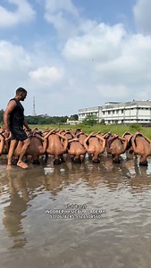 Commando Position 🔥 | Jitendra Perval