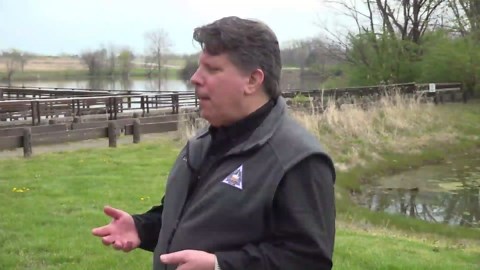 Tips for peaceful coexistence with aggressive Canada geese