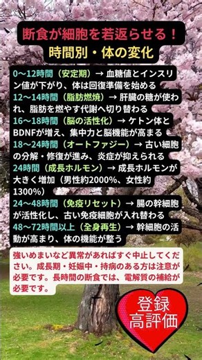 断食が細胞を若返らせる！時間別・体の変化