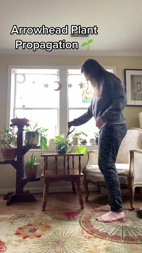 Just over here making babies 🤪🌱🥹