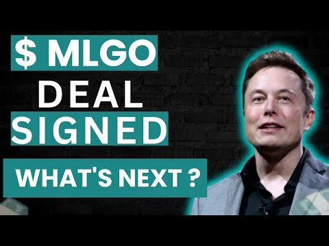 MLGO Stock - MicroAlgo Inc Stock Breaking News Today | MLGO Stock Price