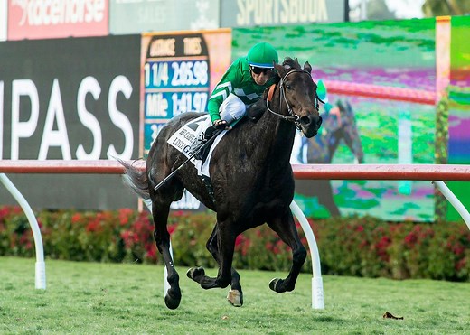 Del Mar Racetrack Picks, Entries, Race Schedule, Best Bets & More | TwinSpires