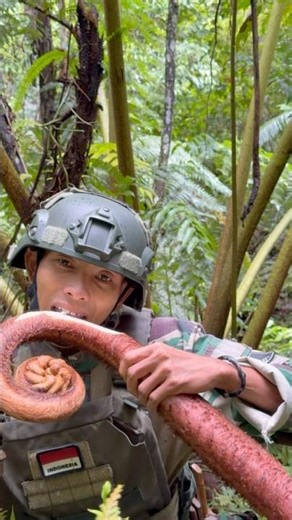 Hal ini sering terjadi tni di Papua #papua #tni #tniad #hiburan