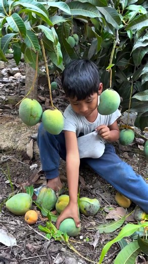 ১০ টি ফলের নাম। Funny shortsfeed for you #shorts #viral #funny #trending #shortvideo