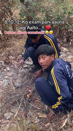 The Quirky Call for Corona's Return