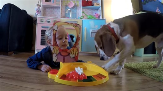 Funny beagle plays the messy Pie Face game with little girl