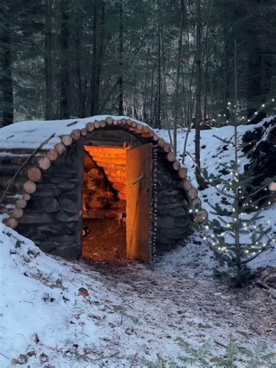 Build a Cozy Treehouse Shelter for Outdoor Escape