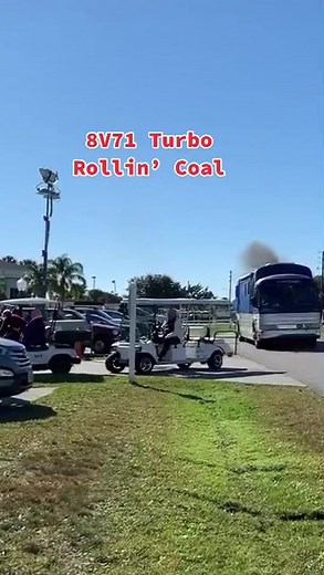 Lacroix Cruiser on TikTok