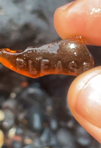 Discovering Alien Messages and Gems on Hawaii's Beaches