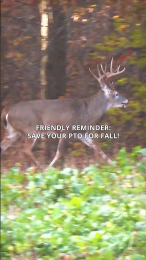 Just A Reminder! 🦌