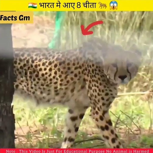 😍मोदी जी ने india🇮🇳 को दिया सबसे बड़ा 🎁😱. #modi @tseries@zeetv @UltraBollywood@Mikecrack