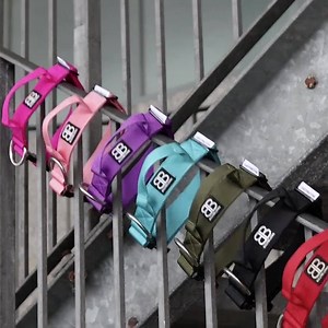 How do Bully Billows have the most diverse and unique range of K9 Collars? Every product is designed for Ultimate Comfort, Elite Quality and Unbeatable style. • Combat Collars with Handles, D-Loops and Quick Release Buckles • 5 Unique Styles of Leads to Match • 2.5cm, 4cm & 5cm widths for all breeds • 12 Beautiful colours to choose from • Custom Name Stitching Worldwide Shipping 📦 We offer a 100% Product Quality Guarantee! | BullyBillows
