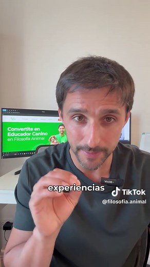 Conociendo a los Galgos: Personalidad y Características