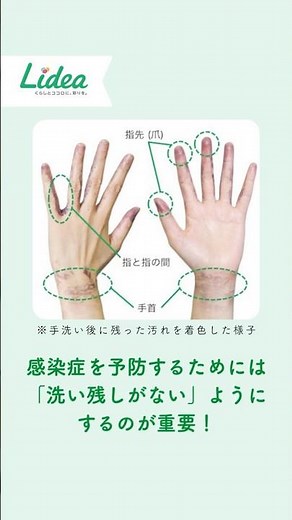 予防のための「上手な手の洗い方」／Lidea／ライオン